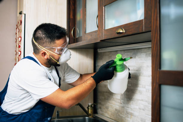 Best Flea Control Services  in Parchment, MI