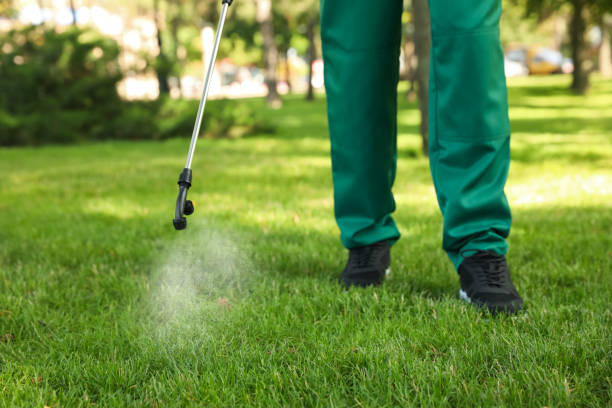 Best Best Pest Control Near Me  in Parchment, MI