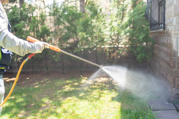 Best Mosquito Control Services  in Parchment, MI