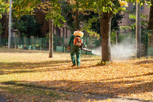 Best Affordable Pest Control Services  in Parchment, MI