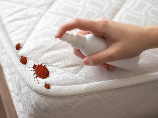 Reliable Parchment, MI Pest Control Solutions