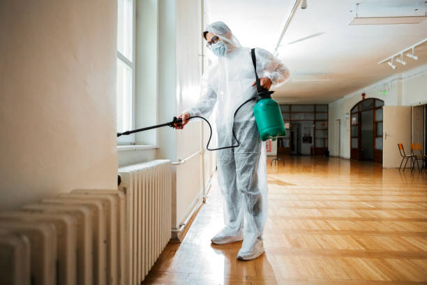 Best Rat Extermination Near Me  in Parchment, MI
