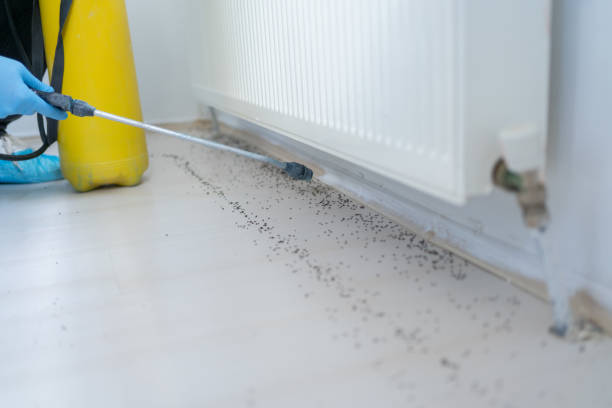 Best Exterminator Services  in Parchment, MI