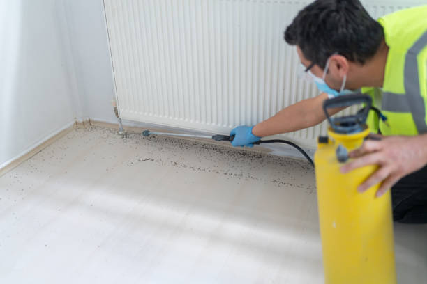 Best Pest Inspection Near Me  in Parchment, MI