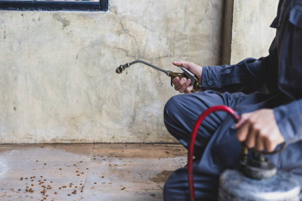 Best Residential Pest Control  in Parchment, MI