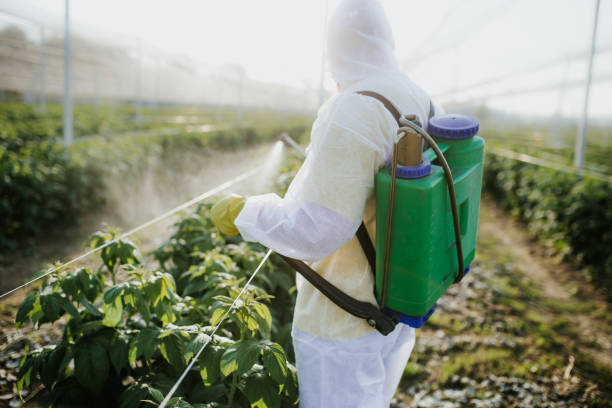 Best Best Pest Control Companies  in Parchment, MI